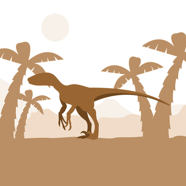 VPN在保护在线隐私中的重要性与作用