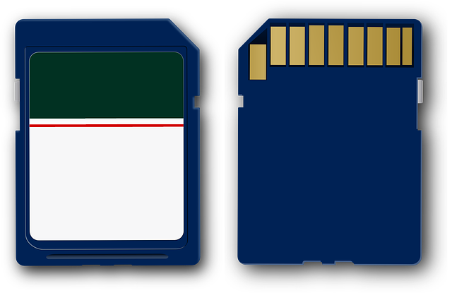 用户对VPN服务的需求变化及市场反应分析