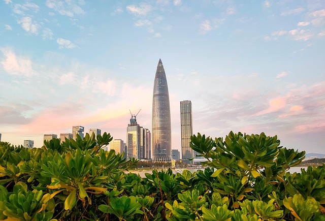 研究显示：使用VPN的用户数量激增，原因何在？