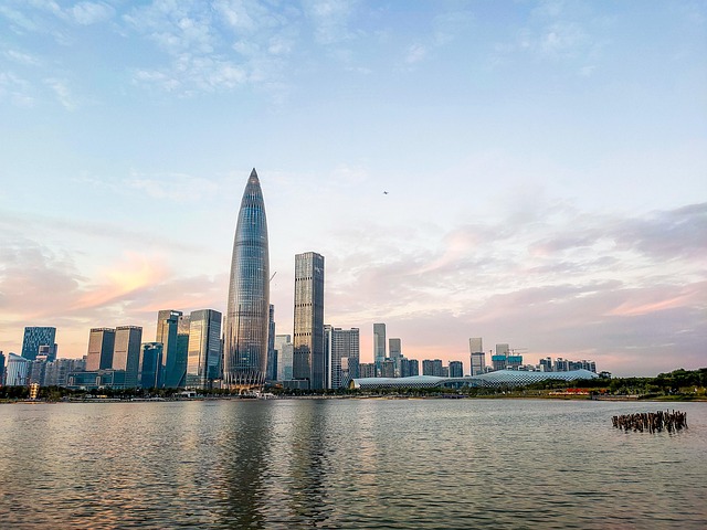 VPN服务在美国的流行趋势与用户反馈